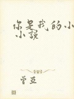 你是我的小确幸 小说封面