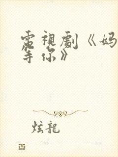 电视剧《妈妈在等你》