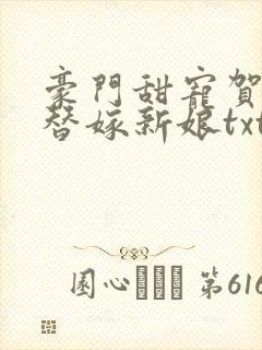 豪门甜宠贺少的替嫁新娘txt下载