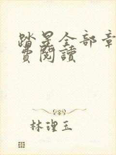 踏星全部章节免费阅读