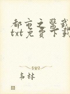 都市之医武风流txt免费下载