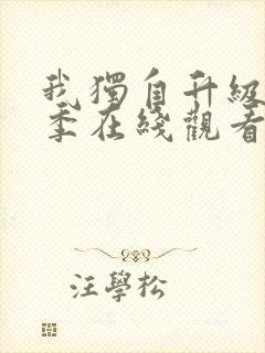 我独自升级第二季在线观看免费版樱花动漫