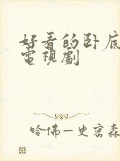 好看的卧底谍战电视剧