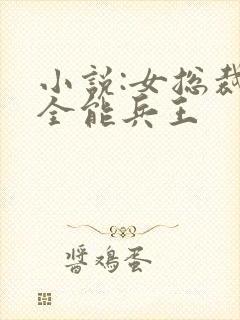 小说:女总裁的全能兵王