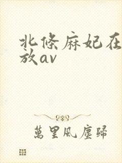 北条麻妃在线播放av