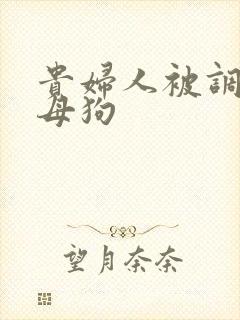 贵妇人被调教成母狗封面