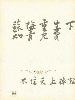 苏梅重生下乡做知青免费