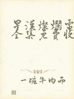 星汉灿烂电视剧全集免费收看封面