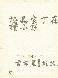 极品家丁在线阅读小说封面