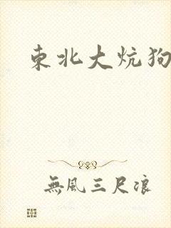 东北大炕狗儿娘封面