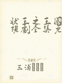 状王之王国语电视剧全集免费收看