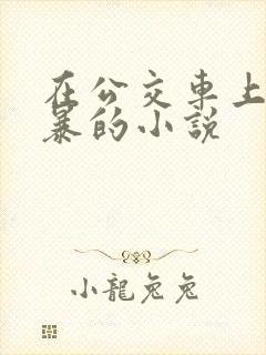 在公交车上被强暴的小说封面