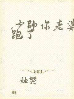 ,少帅你老婆又跑了封面