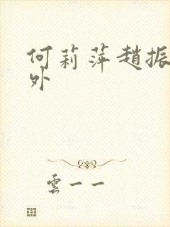 何莉萍赵振宇番外