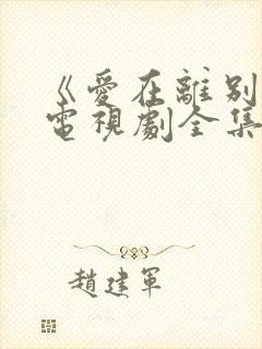 《爱在离别时》电视剧全集免费观看