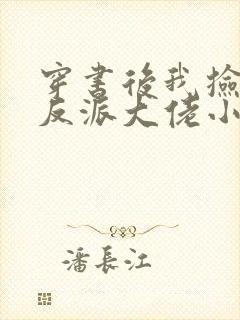 穿书后我捡到了反派大佬小说