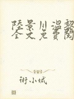 陆景川温黎小说全文免费阅读