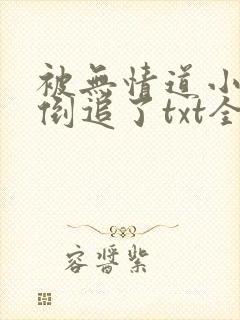 被无情道小师弟倒追了txt全文加番外