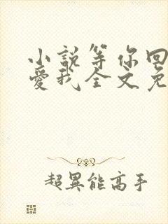 小说等你回眸说爱我全文免费阅读