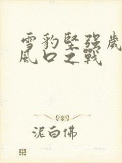 雪豹坚强岁月骑风口之战