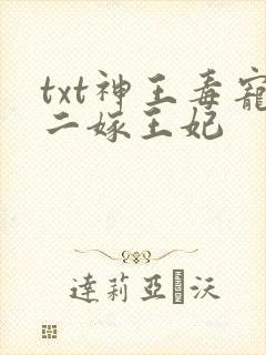 txt神王毒宠二嫁王妃