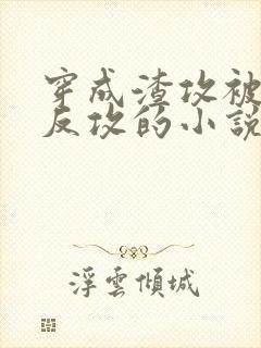 穿成渣攻被老婆反攻的小说