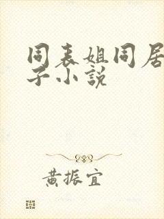 同表姐同居的日子小说