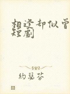 相逢却似曾相识短剧封面