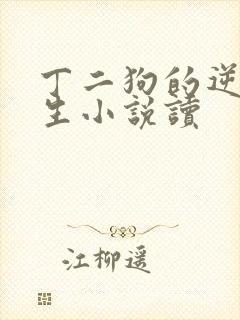 丁二狗的逆袭人生小说读