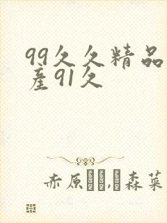 99久久精品国产91久