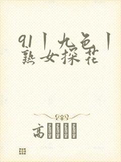 91丨九色丨老熟女探花
