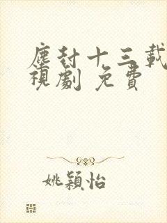 尘封十三载 电视剧 免费