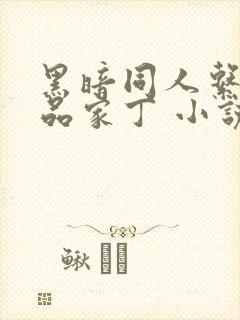 黑暗同人系列极品家丁 小说封面