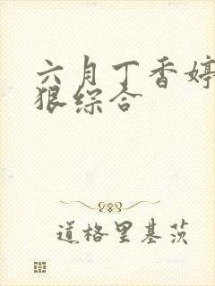 六月丁香婷婷狠狠综合