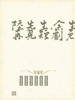 陆先生,余生不再见短剧免费观看全集