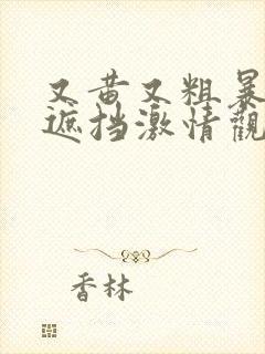 又黄又粗暴的无遮挡激情观看