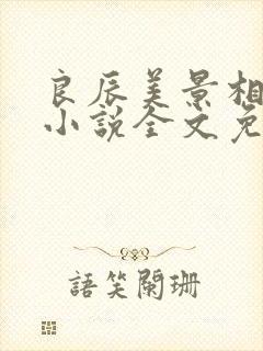 良辰美景相思处小说全文免费阅读封面