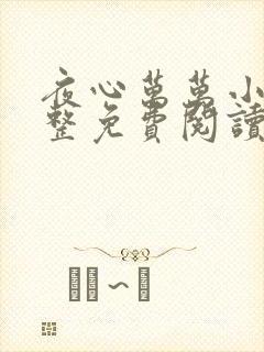 夜心万万小说完整免费阅读全文