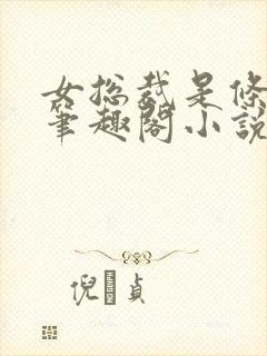 女总裁是条骚狗笔趣阁小说