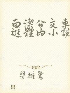 白洁公交车被挺进体内小说封面