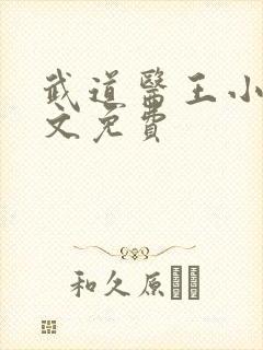 武道医王小说全文免费封面