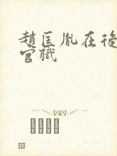 赵匡胤在后晋的官职