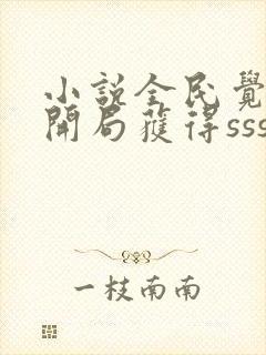 小说全民觉醒:开局获得sss级天赋在线阅读