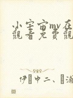 小宇宙mv在线观看免费观看全集高清