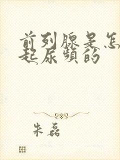 前列腺是怎么引起尿频的