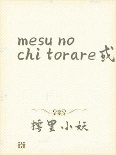 mesu nochi torare或メスのちトラレ封面