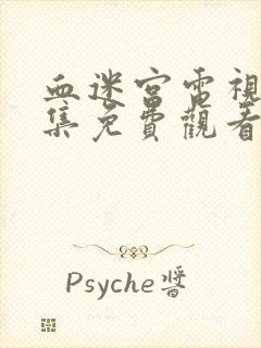 血迷宫电视剧全集免费观看国语版