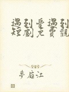 遇到爱遇到幸福短剧免费观看