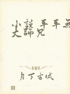 小说 平平无奇大师兄