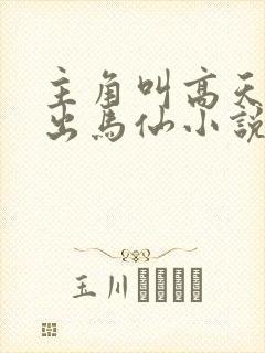 主角叫高天赐的出马仙小说封面